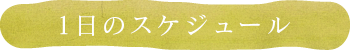 1日のスケジュール