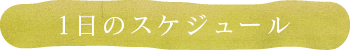 1日のスケジュール